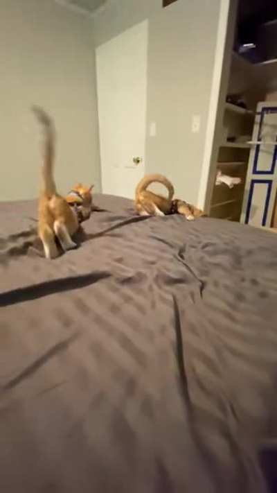 Boop