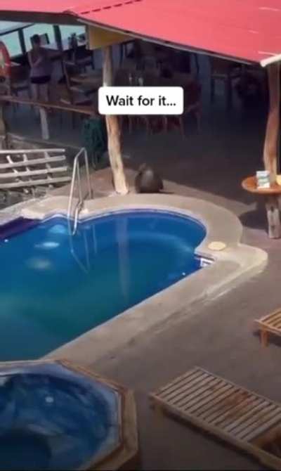 Just a swim