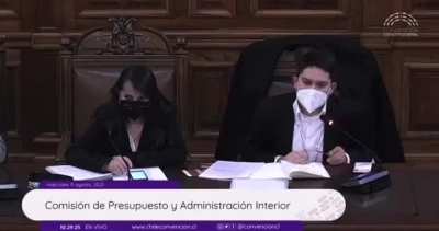 Chilean Constitutional Convention: convencionalas, convencionilis y convencionolos.