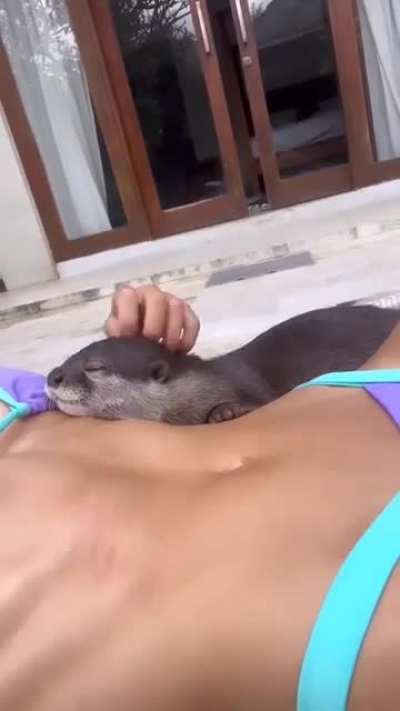 AWWWW