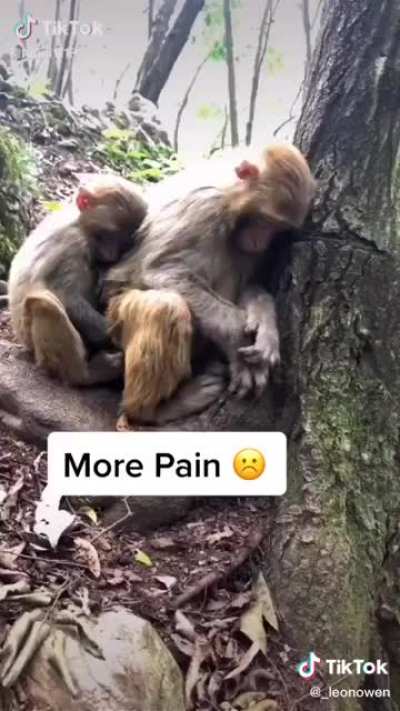 MEN 😳🍆😏