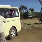 That had to hurt