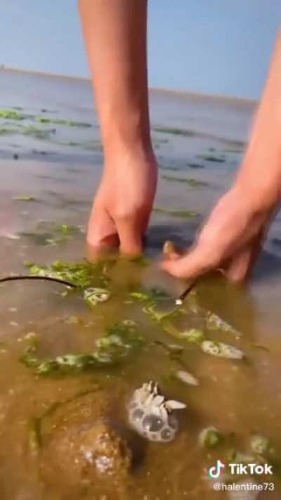 Maybe remember to cut off the Rubber Bands next time.