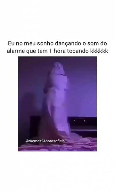 Exato