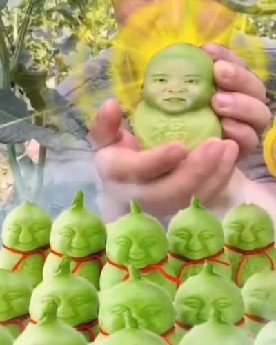 Chinese_Pear.MOV