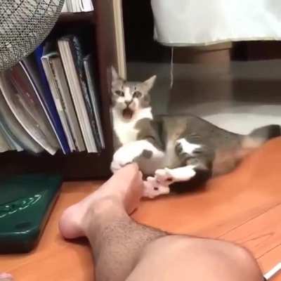 Smell of death