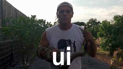 Ui