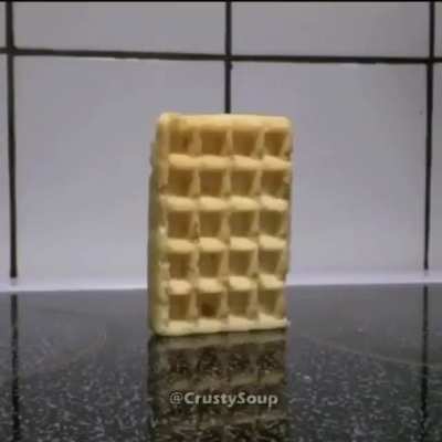 Waffle falls over. Funniest shit you will ever watch