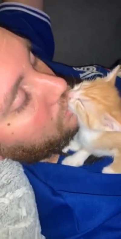 Sorry Kitty, That's Not Gonna Work