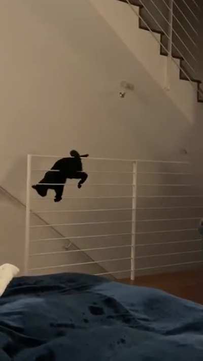Pawrkour