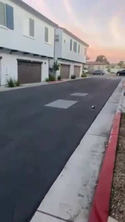 Zoom zoom.