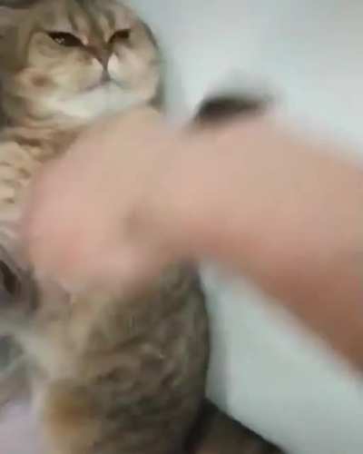 Кунг-фу