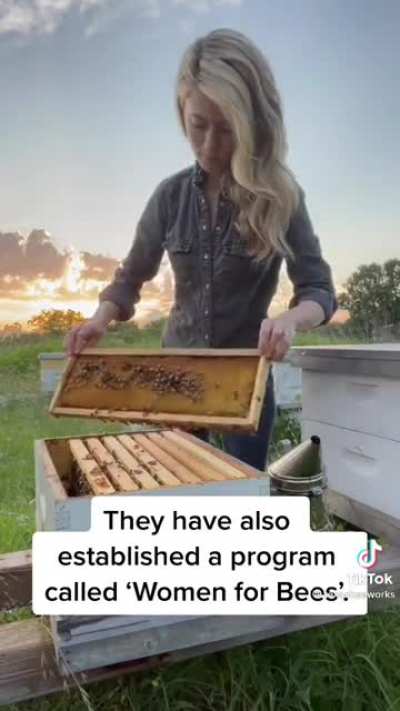 Bee day