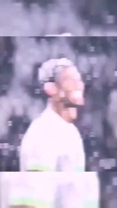 El bicho