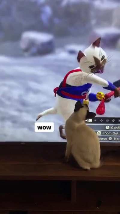 Touch the Palico