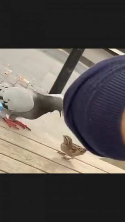 broken drone