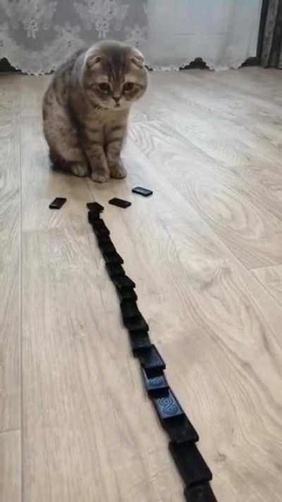 “Did I do that?”
