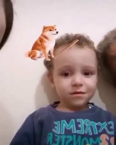 kid vs doggo