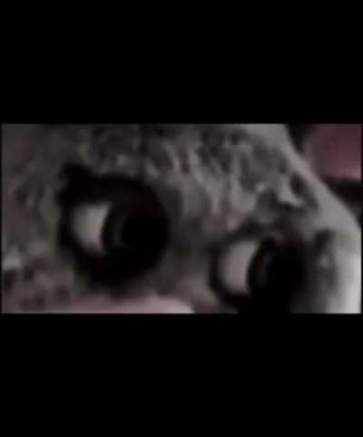 run