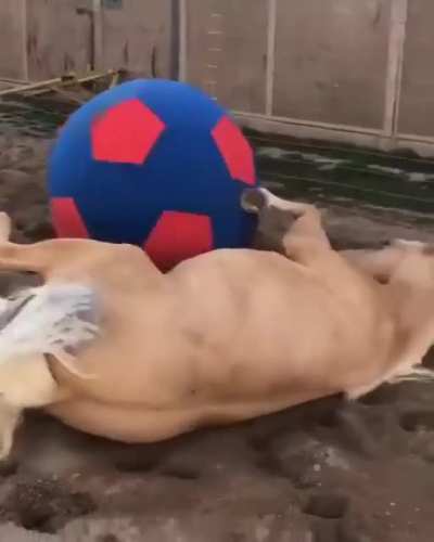 Jaaames baxteeer!