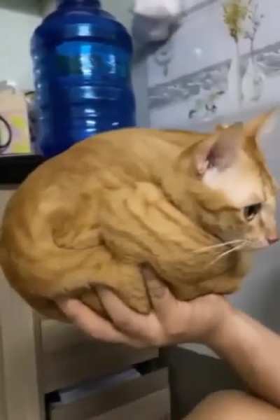 Orange ball