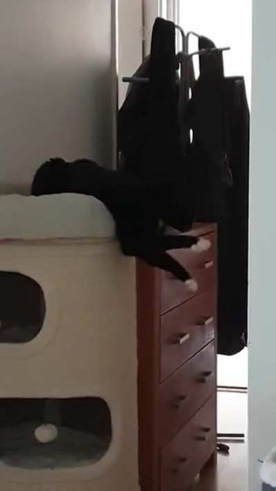 Not sure what my cat is trying to accomplish here