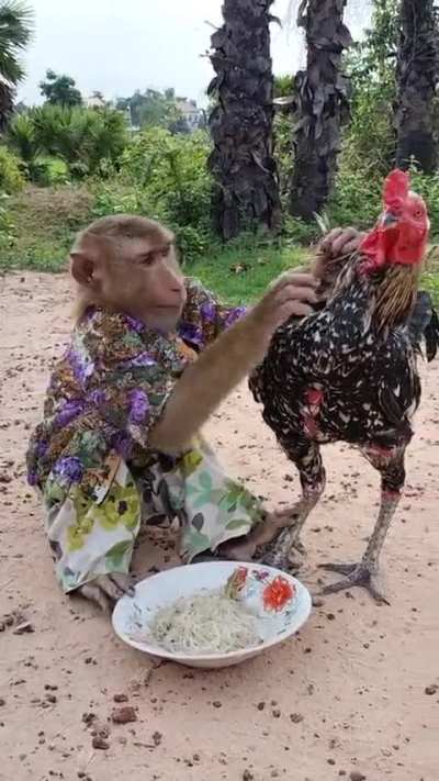 Monke 