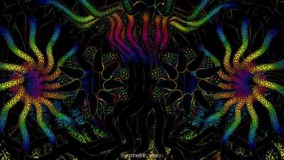 First shot of actual memory from DMT