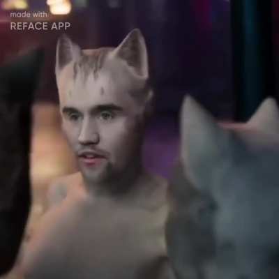 Charlie Kirk stars in Cats ⭐️ 🐈