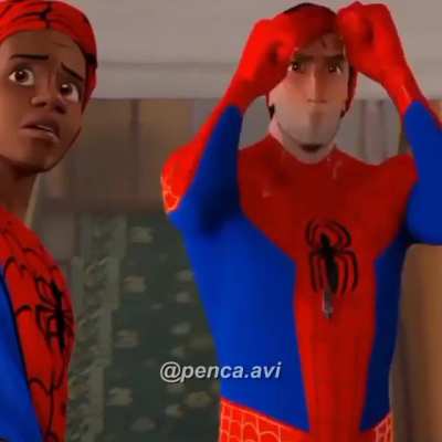 Xd