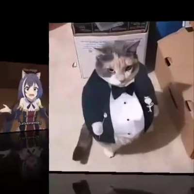 The gentleman