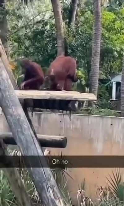 monke