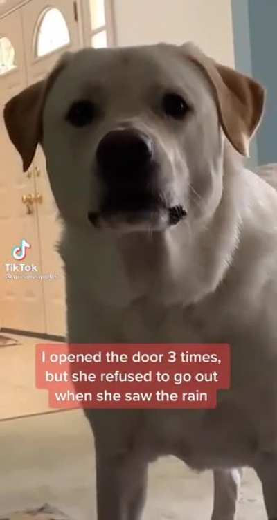 Make it stop!