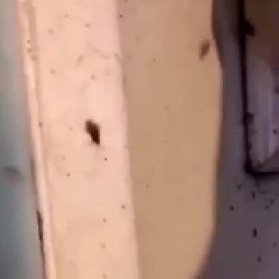 Не смотр<wbr>ите это. Пожал<wbr>уйста<wbr>! Листа<wbr>йте дальше! Я преду<wbr>прежд<wbr>ал...