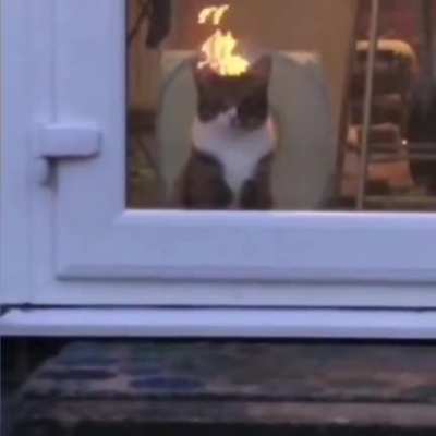 Gatekeeper to Hell?