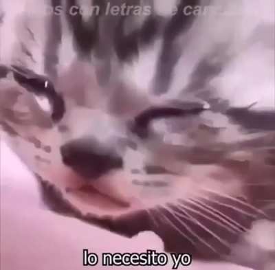 Pain.