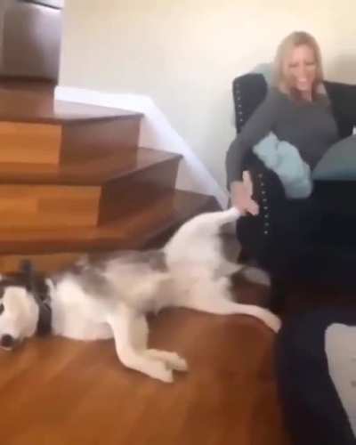 The mildest tantrum