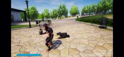Monkey