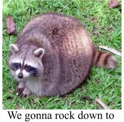 Oh no! We gonna rock down to, Electric Avenue