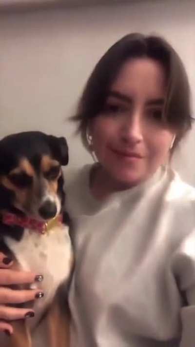 Kiss your dog 🐶