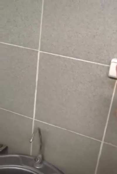 Cyka bljat
