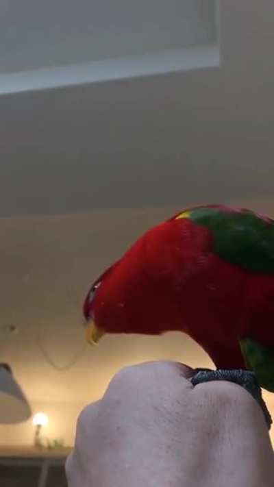 peepoScared peepoHappy peepoScared peepoHappy