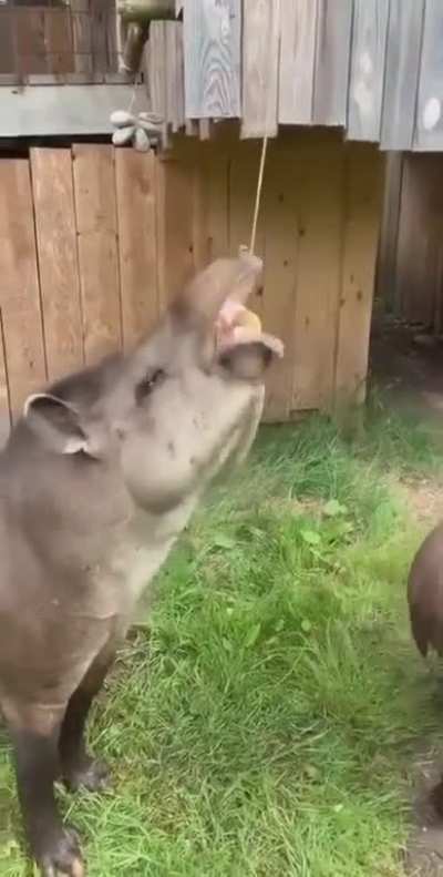 Maybe Maybe Maybe