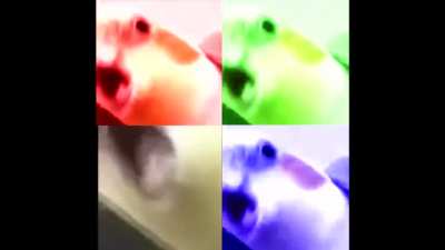 Bird is the word