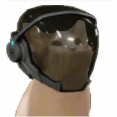 honkcat