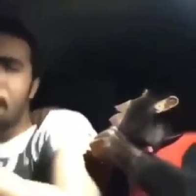 monke (sorry if repost)