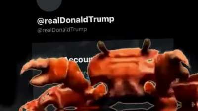 TRUMP IS GONE