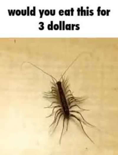 Boy, would I?! 🤑🤑🤑😋😋😋😋