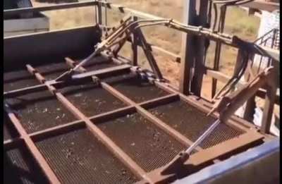 Sheep Squashing Machine.
