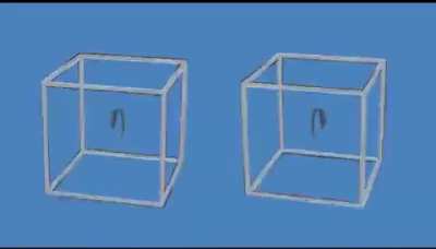 The cubes are not moving